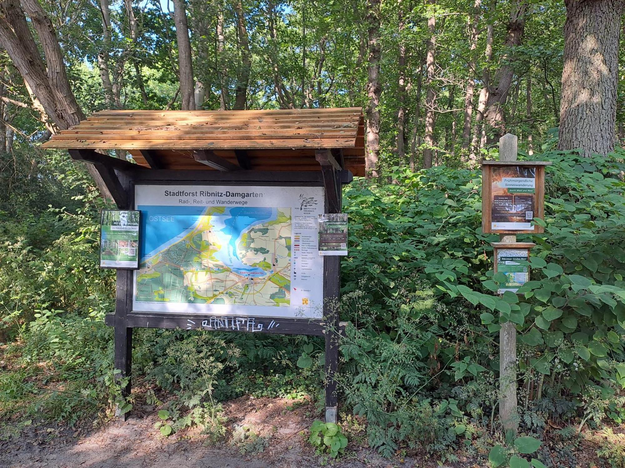 Ferienwohnung Fledermaus Gelbensande Esterno foto